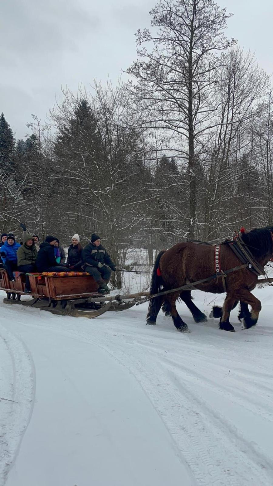 Latarnia Wagabundy Bieszczady Hotell Wola Michowa Exteriör bild