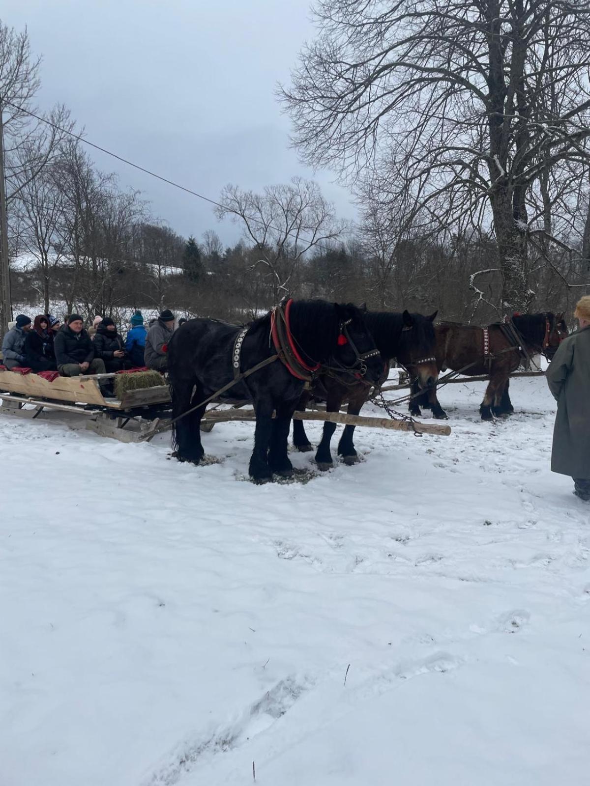 Latarnia Wagabundy Bieszczady Hotell Wola Michowa Exteriör bild