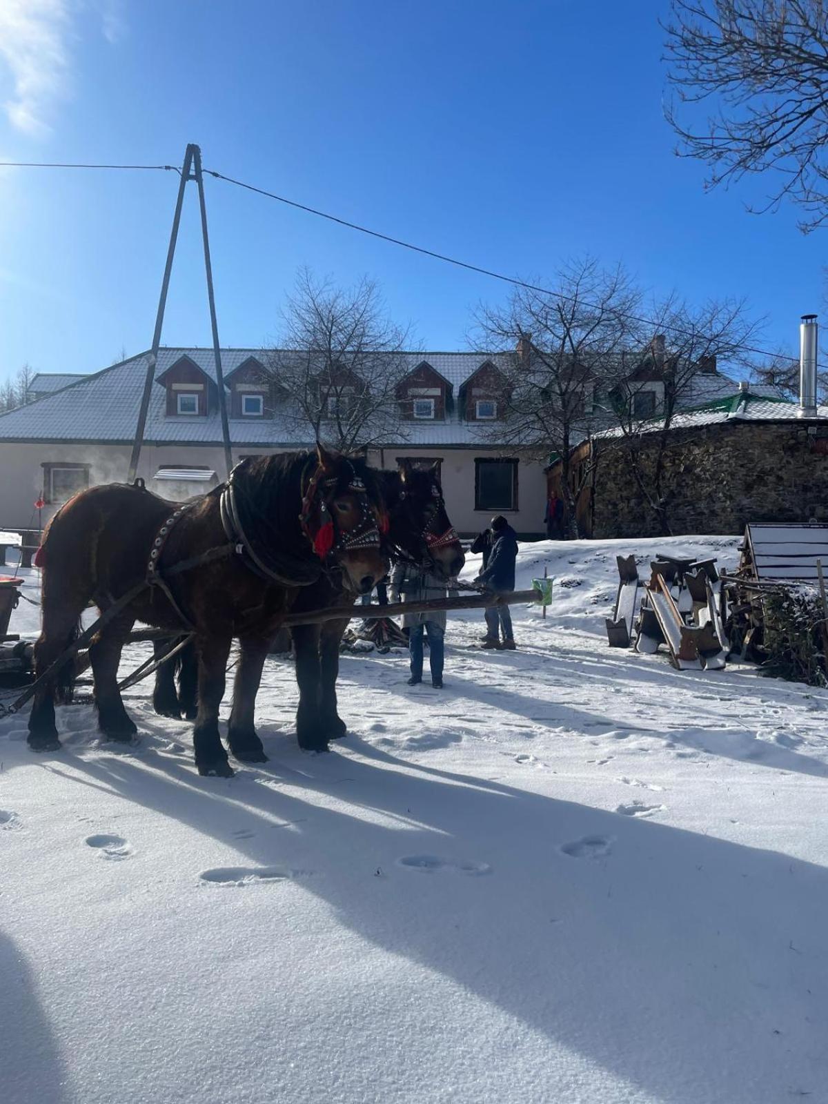 Latarnia Wagabundy Bieszczady Hotell Wola Michowa Exteriör bild