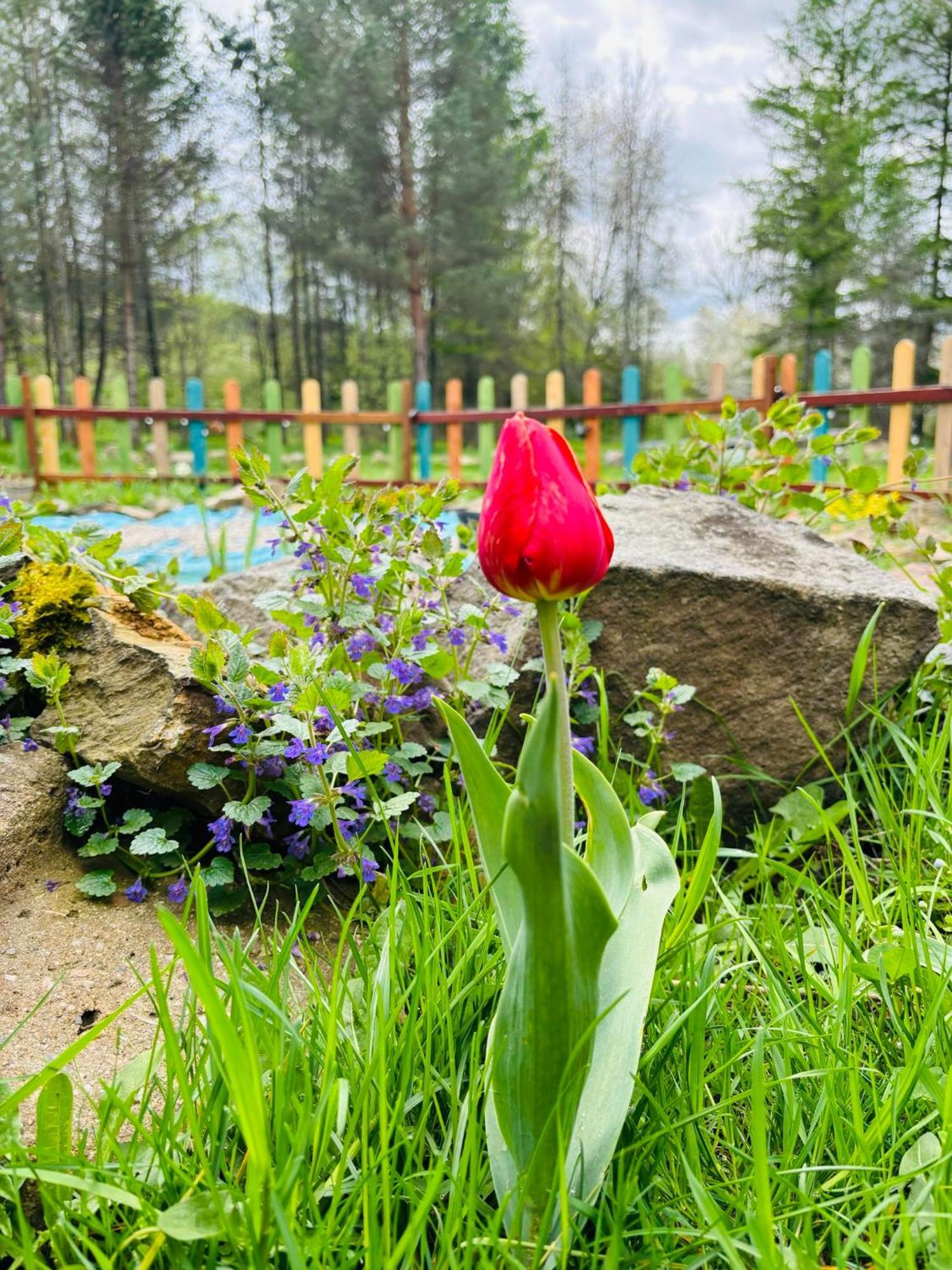 Latarnia Wagabundy Bieszczady Hotell Wola Michowa Exteriör bild