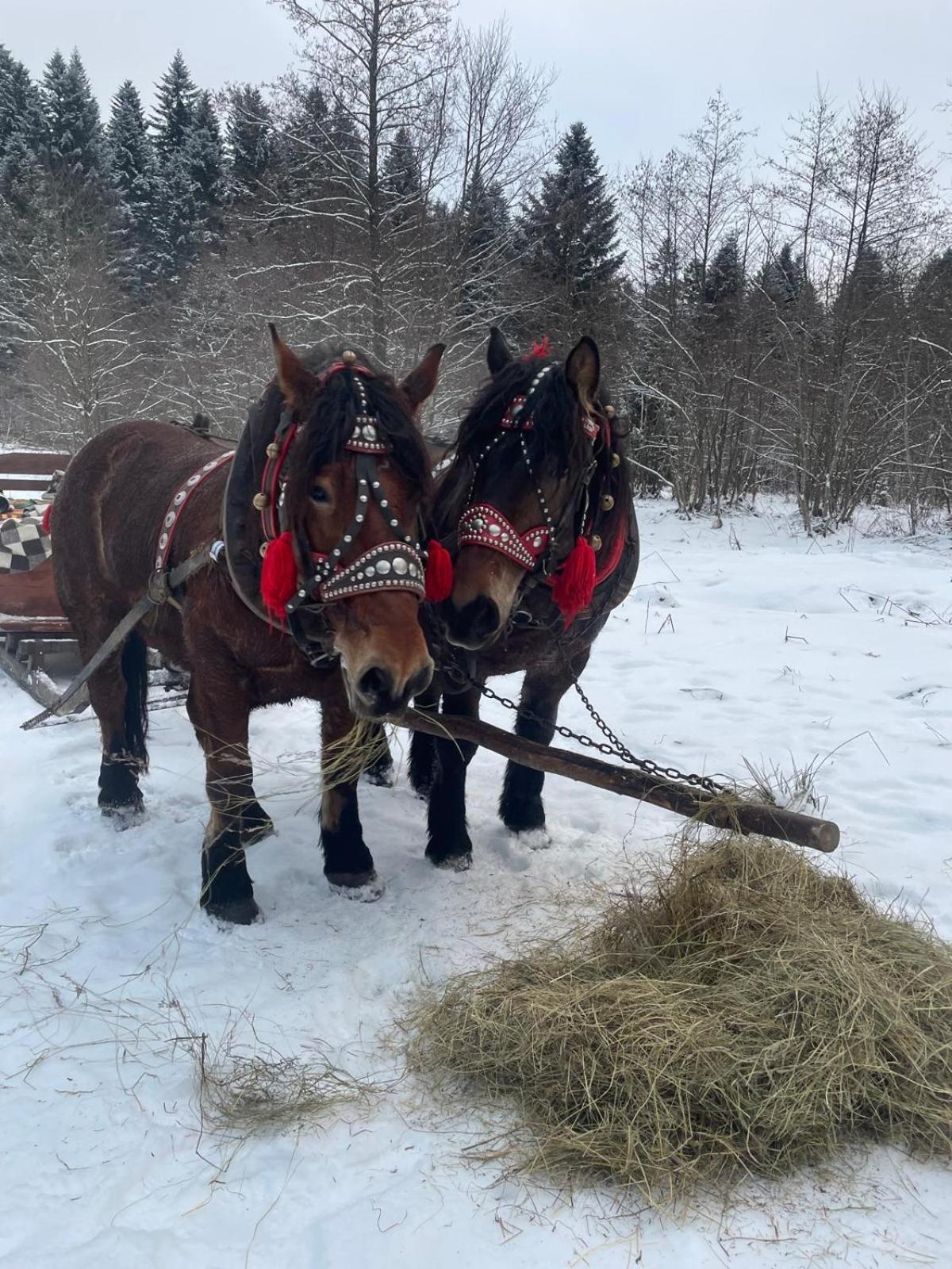 Latarnia Wagabundy Bieszczady Hotell Wola Michowa Exteriör bild