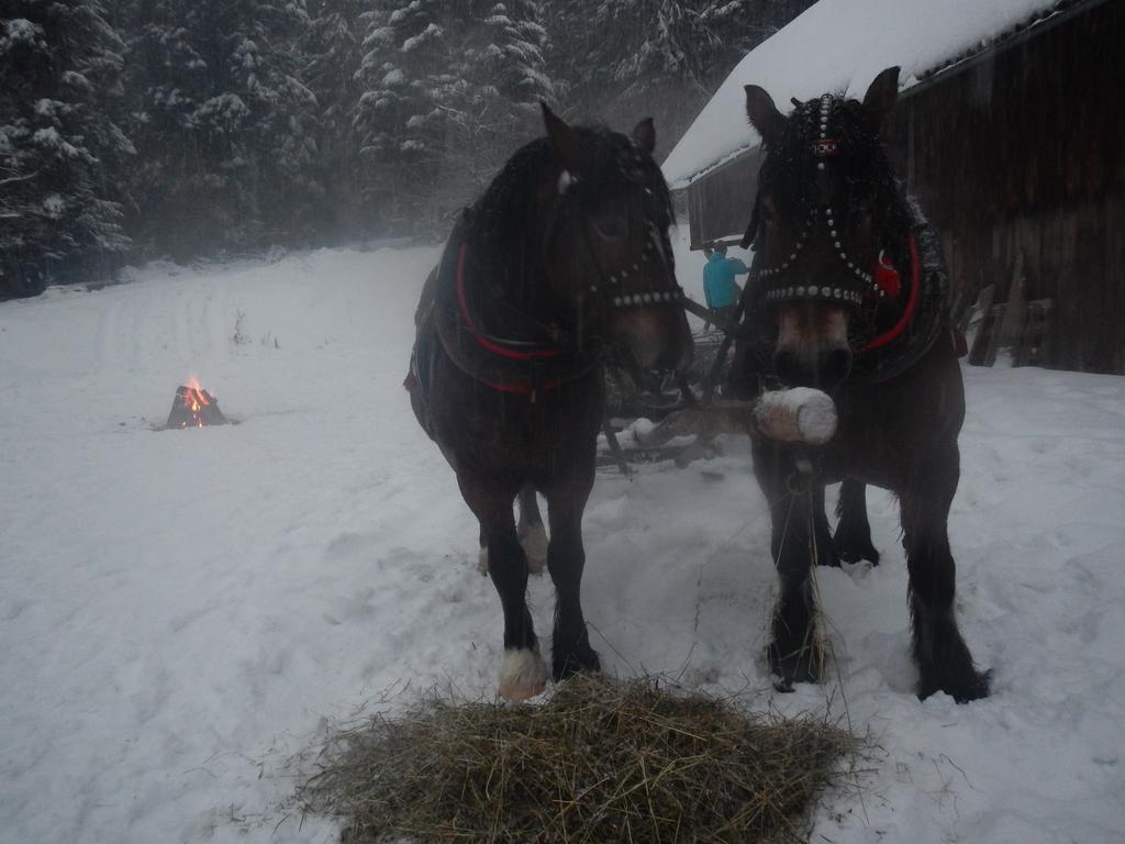 Latarnia Wagabundy Bieszczady Hotell Wola Michowa Exteriör bild